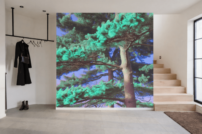 Emerald Canopy
