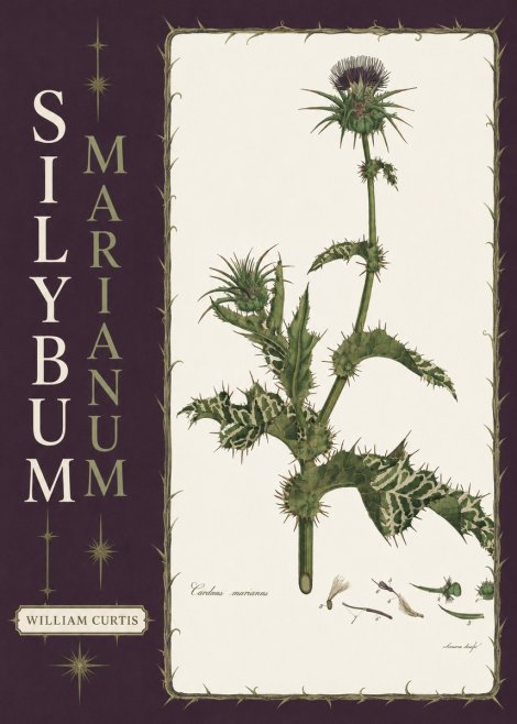 William Curtis Silybum Marianum No6 - Póster