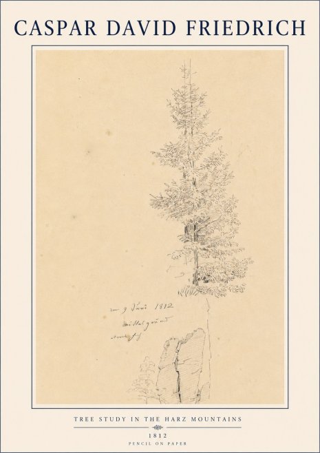 Caspar David Friedrich Tree Study in the Harz Mountains No4 - Póster