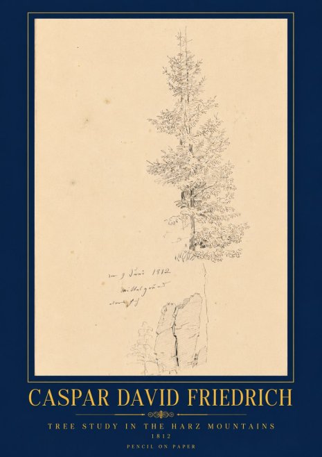 Caspar David Friedrich Tree Study in the Harz Mountains No6 - Póster