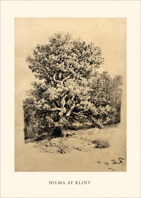 Hilma af Klint Large Tree Landscape No1 - Póster