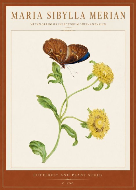 Maria Sibylla Merian Butterfly and Plant Study No5 - Póster