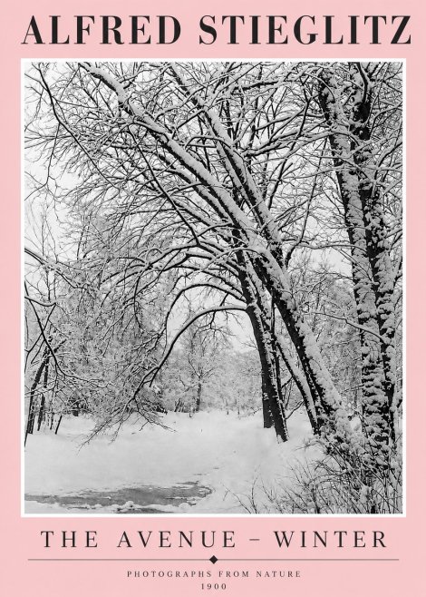 Alfred Stieglitz The Avenue – Winter No4 - Póster
