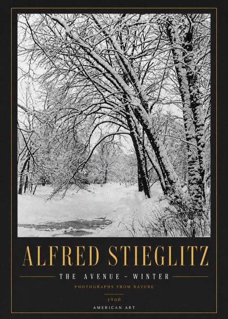Alfred Stieglitz The Avenue – Winter No6 - Póster