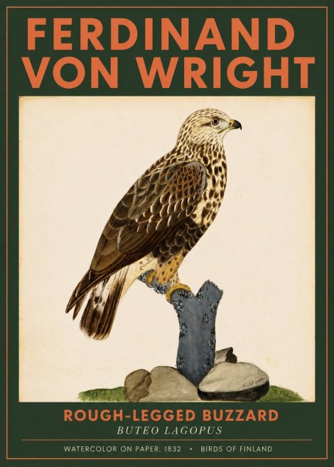 Ferdinand von Wright Rough-legged Buzzard No2 - Póster