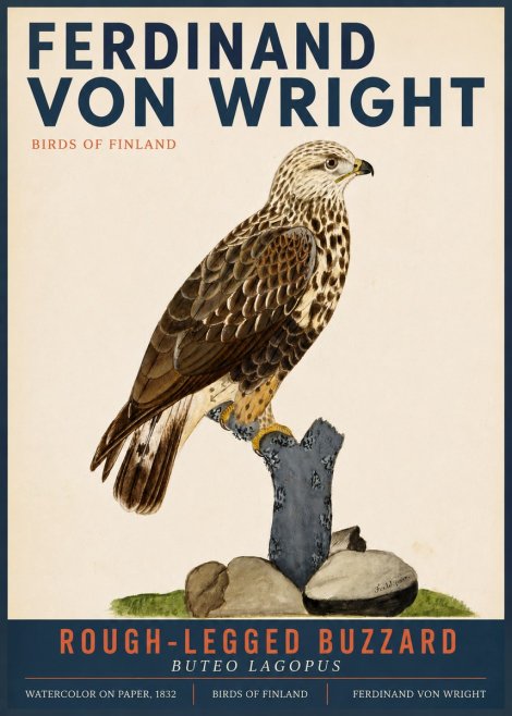 Ferdinand von Wright Rough-legged Buzzard No3 - Póster
