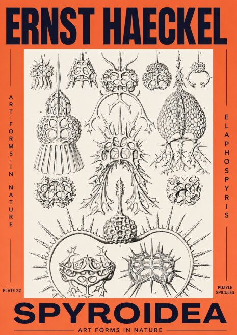 Ernst Haeckel Spyroidea - Puffball Radiolarians - Plate 22 No3 - Póster