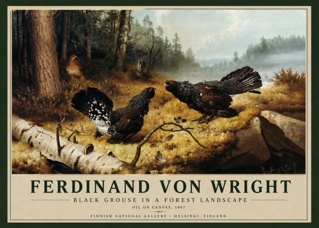 Ferdinand von Wright Black Grouse in a Forest Landscape No5 - Póster