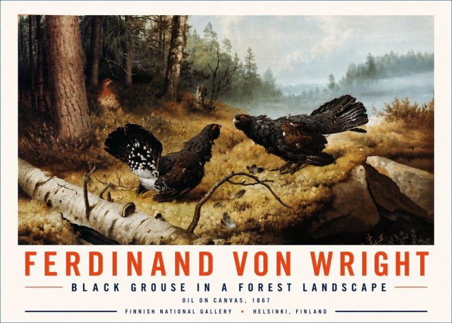 Ferdinand von Wright Black Grouse in a Forest Landscape No6 - Póster