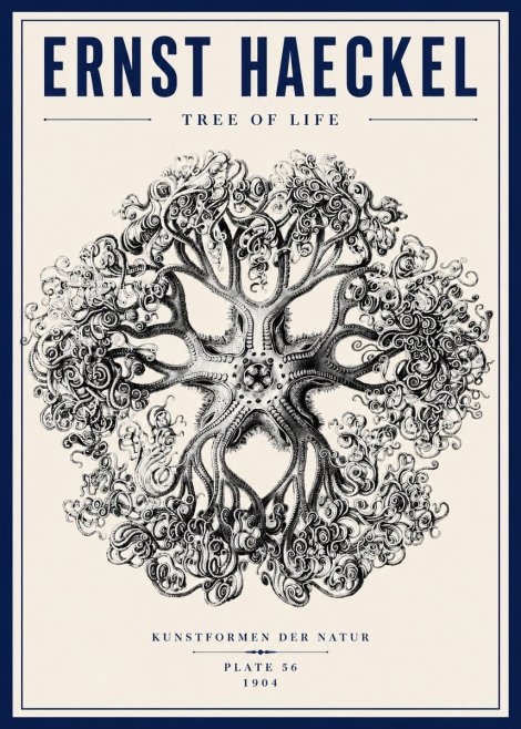 Ernst Haeckel Tree-like Organism No6 - Póster