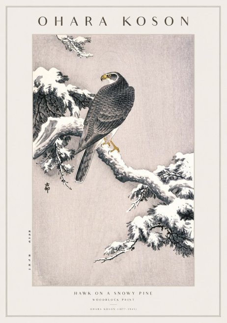 Ohara Koson Hawk on a Snowy Pine No1 - Póster