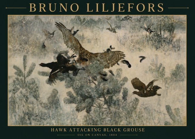 Bruno Liljefors Hawk Attacking Black Grouse No4 - Póster