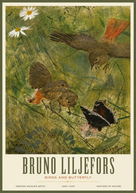 Bruno Liljefors Birds and Butterfly No3 - Póster