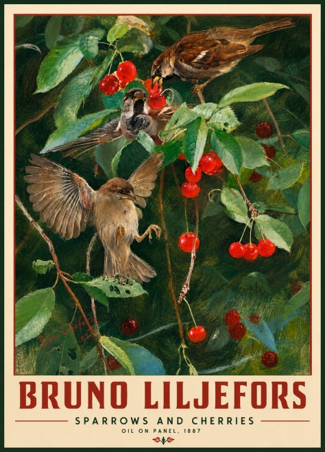 Bruno Liljefors Sparrows and Cherries No2 - Póster