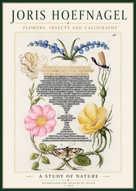 Joris Hoefnagel A Study of Nature I No4 - Póster