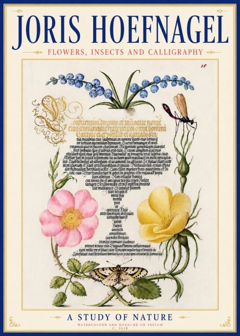 Joris Hoefnagel A Study of Nature I No6 - Póster
