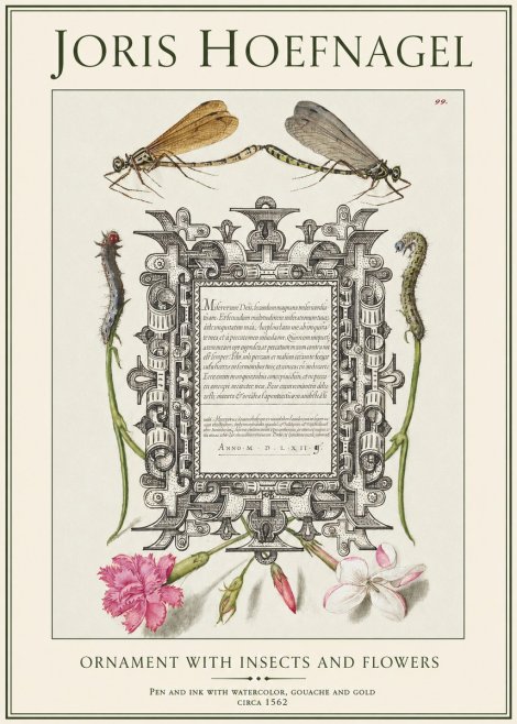 Joris Hoefnagel Ornamental Frame with Damselflies, Caterpillars and Flowers No2 - Póster