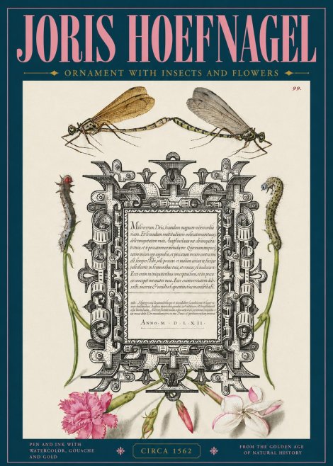 Joris Hoefnagel Ornamental Frame with Damselflies, Caterpillars and Flowers No5 - Póster