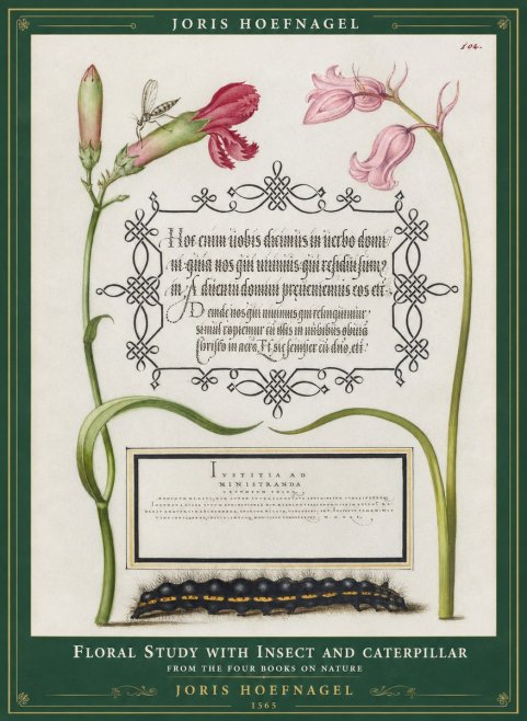 Joris Hoefnagel Floral Study with Insect and Caterpillar No1 - Póster