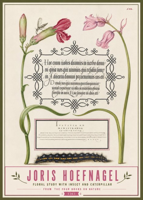 Joris Hoefnagel Floral Study with Insect and Caterpillar No3 - Póster