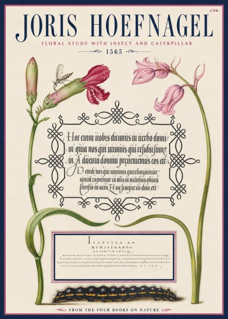 Joris Hoefnagel Floral Study with Insect and Caterpillar No4 - Póster