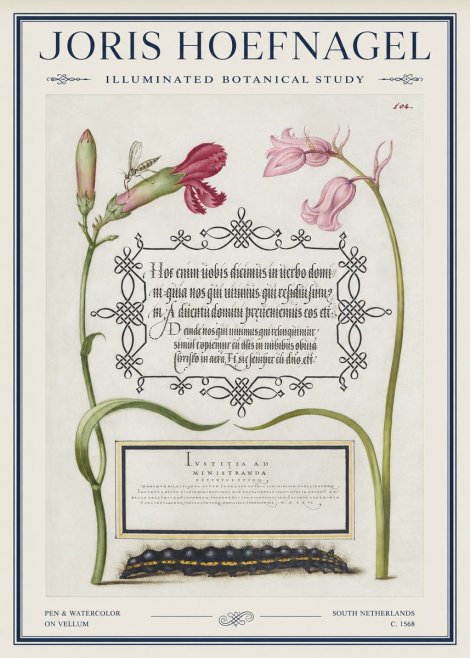 Joris Hoefnagel Floral Study with Insect and Caterpillar No5 - Póster