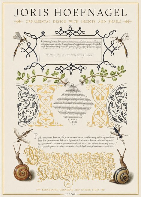 Joris Hoefnagel Memento Mori No2 - Póster