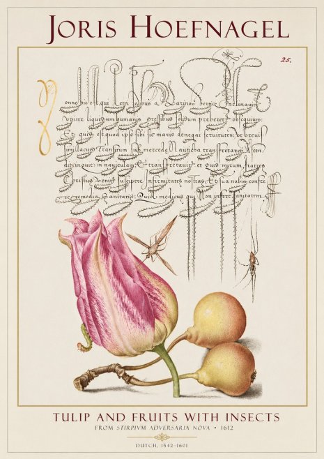 Joris Hoefnagel Tulip and Fruits with Insects No1 - Póster