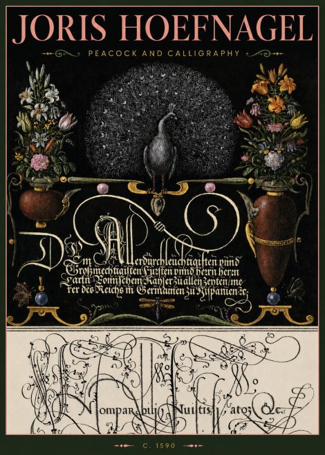 Joris Hoefnagel Peacock and Calligraphy No4 - Póster
