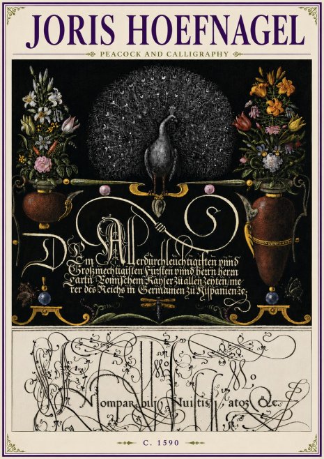Joris Hoefnagel Peacock and Calligraphy No6 - Póster