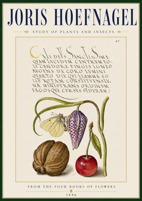 Joris Hoefnagel Study of Plants and Insects No5 - Póster