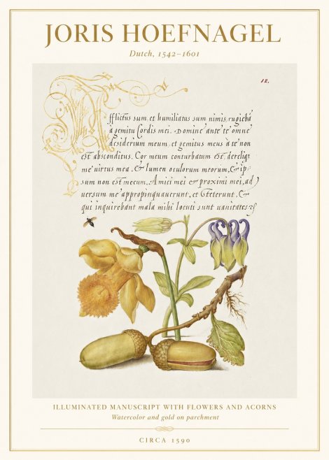 Joris Hoefnagel Illuminated Manuscript with Flowers and Acorns No1 - Póster