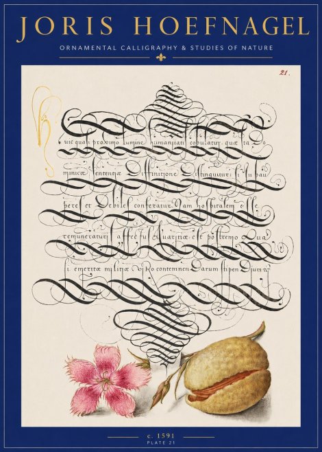 Joris Hoefnagel Ornamental Calligraphy & Studies of Nature No2 - Póster