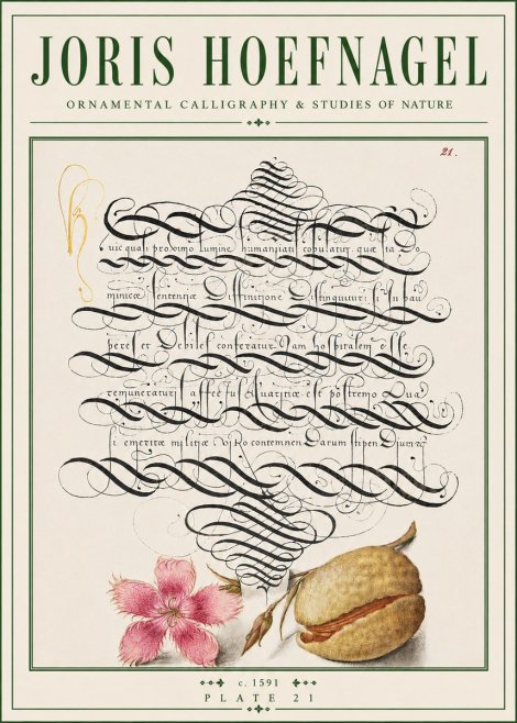 Joris Hoefnagel Ornamental Calligraphy & Studies of Nature No4 - Póster