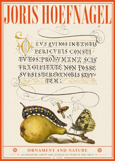 Joris Hoefnagel Ornament and Nature - Illuminated Script and Studies of Insects and Fruit No2 - Póster
