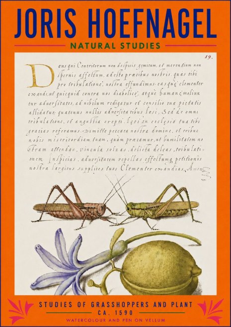 Joris Hoefnagel Studies of Grasshoppers and Plant No3 - Póster