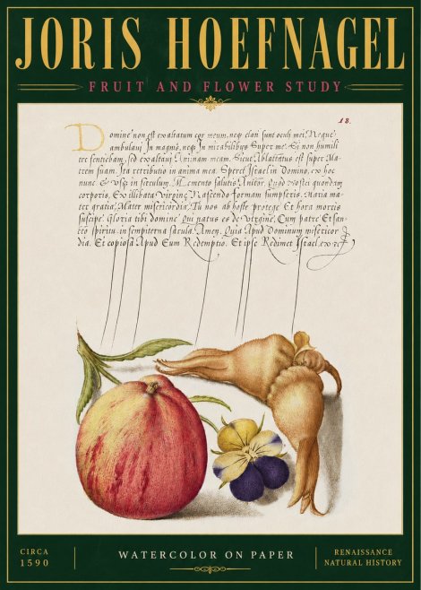 Joris Hoefnagel Fruit and Flower Study No4 - Póster