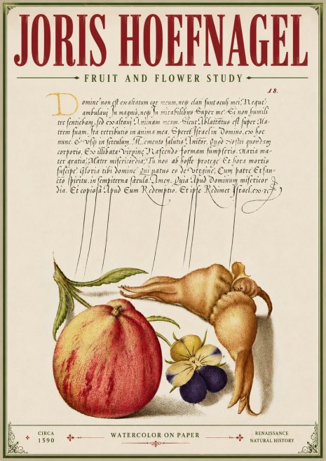 Joris Hoefnagel Fruit and Flower Study No6 - Póster