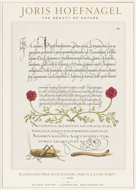 Joris Hoefnagel Illuminated Page with Flowers, Insects & Latin Script No1 - Póster