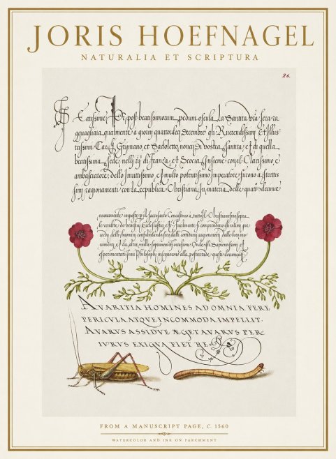 Joris Hoefnagel Illuminated Page with Flowers, Insects & Latin Script No2 - Póster