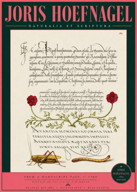 Joris Hoefnagel Illuminated Page with Flowers, Insects & Latin Script No3 - Póster