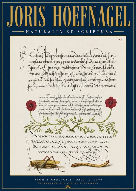 Joris Hoefnagel Illuminated Page with Flowers, Insects & Latin Script No4 - Póster