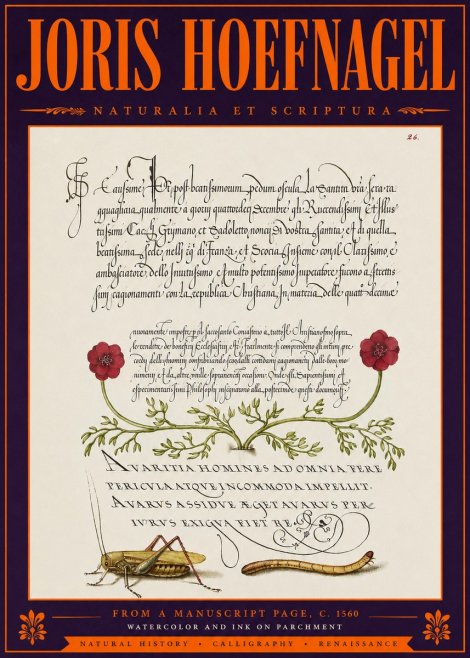 Joris Hoefnagel Illuminated Page with Flowers, Insects & Latin Script No6 - Póster