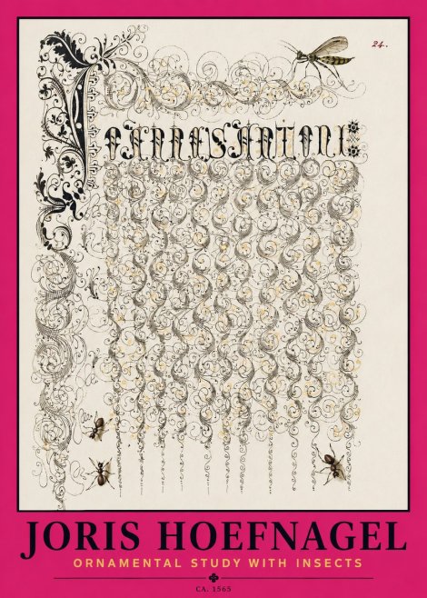 Joris Hoefnagel Ornamental Study with Insects No2 - Póster
