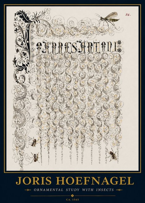 Joris Hoefnagel Ornamental Study with Insects No3 - Póster