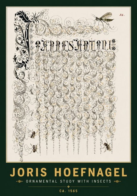 Joris Hoefnagel Ornamental Study with Insects No4 - Póster