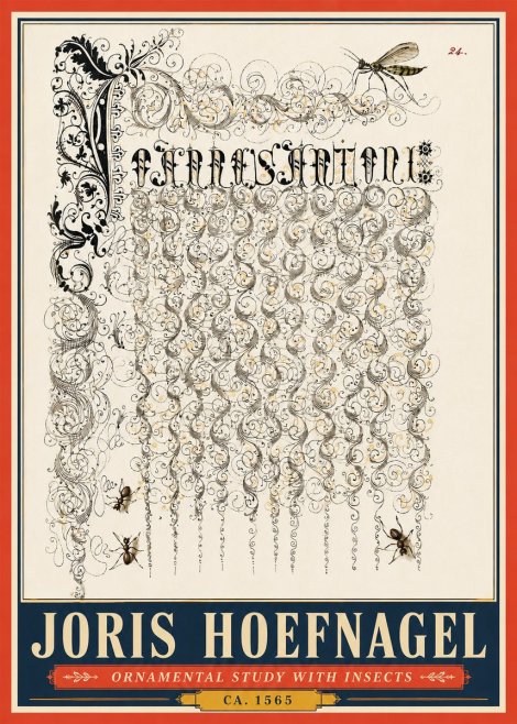 Joris Hoefnagel Ornamental Study with Insects No5 - Póster