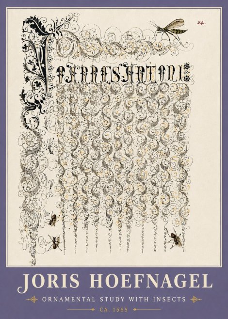 Joris Hoefnagel Ornamental Study with Insects No6 - Póster