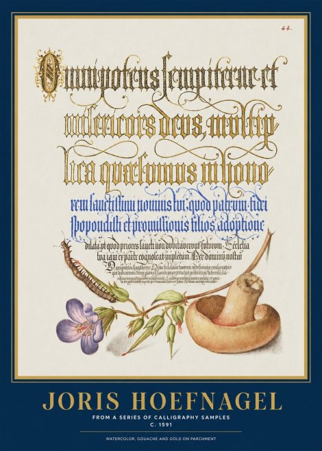 Joris Hoefnagel From a Series of Calligraphy Samples No1 - Póster