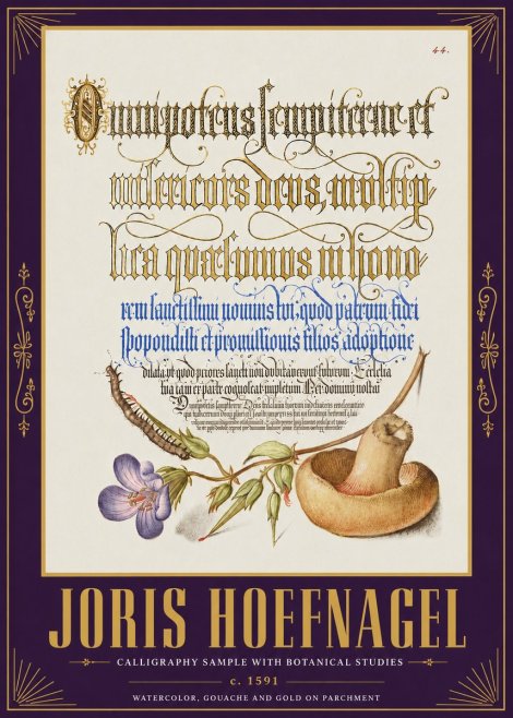 Joris Hoefnagel From a Series of Calligraphy Samples No5 - Póster